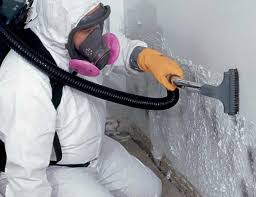 Best Post-Construction Mold Inspection  in Centrevle, IL